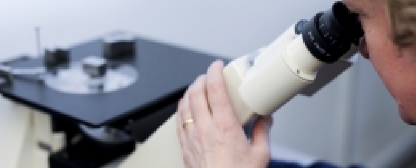 labb_microscopy